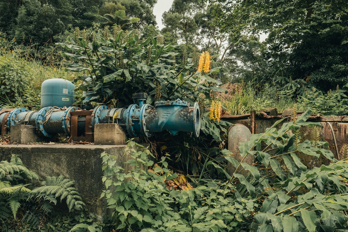 Large blue industrial water pipes and valves mounted on a concrete platform, partially hidden by dense tropical vegetation and tall yellow flowers, with thick greenery and trees surrounding the overgrown infrastructure.