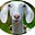 AwesomeGoat.com's avatar