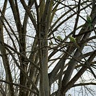 Empathy: You can't take that away from me... 