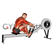 Rowing (with rowing machine)