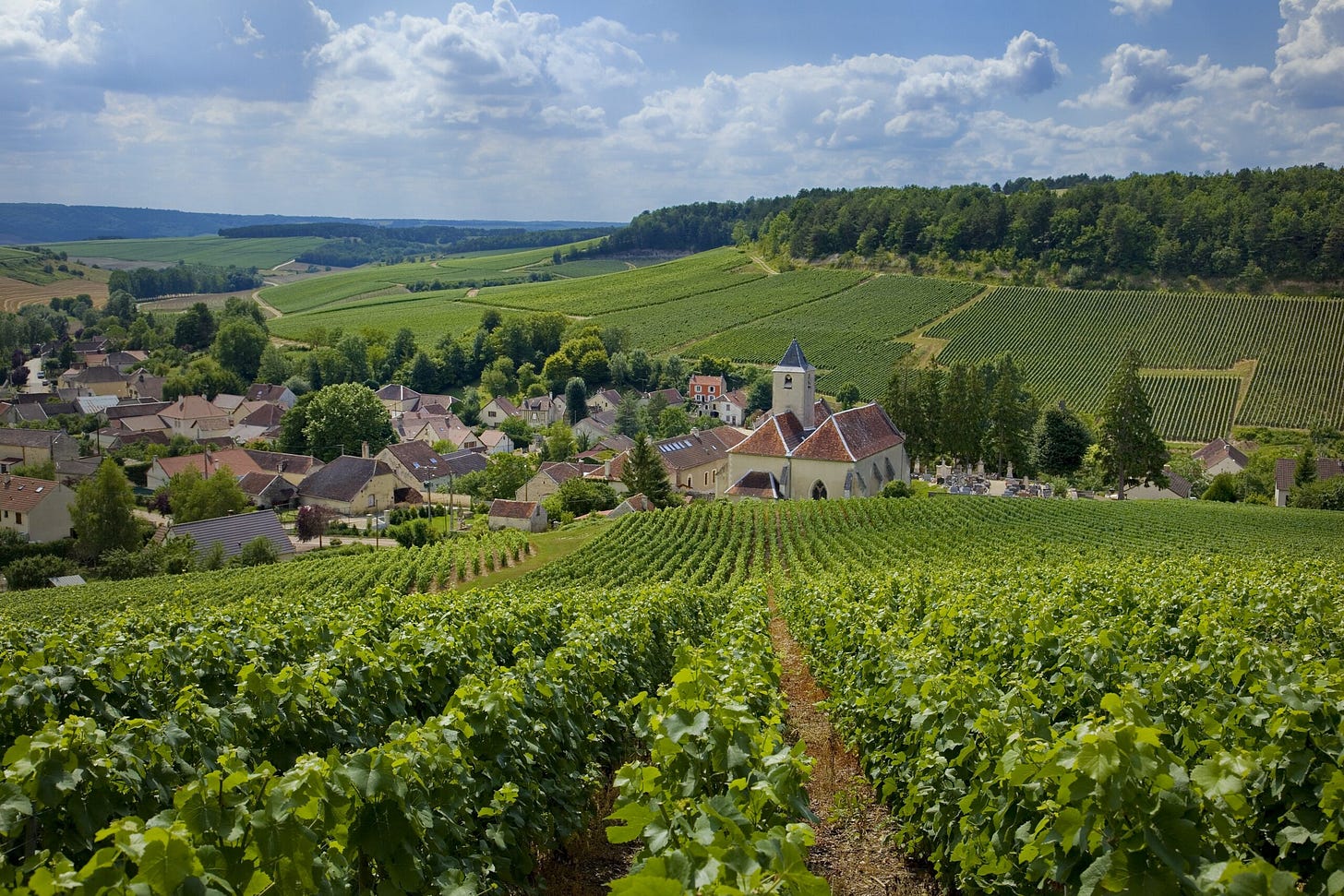 Champagne - Fédération Nationale Vignobles & Découvertes