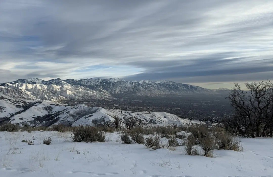 Best hikes and trails in City Creek Canyon | AllTrails