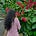Jaskiran's avatar
