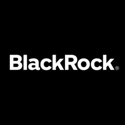 BlackRock Logo & Brand Assets (SVG, PNG and vector) - Brandfetch