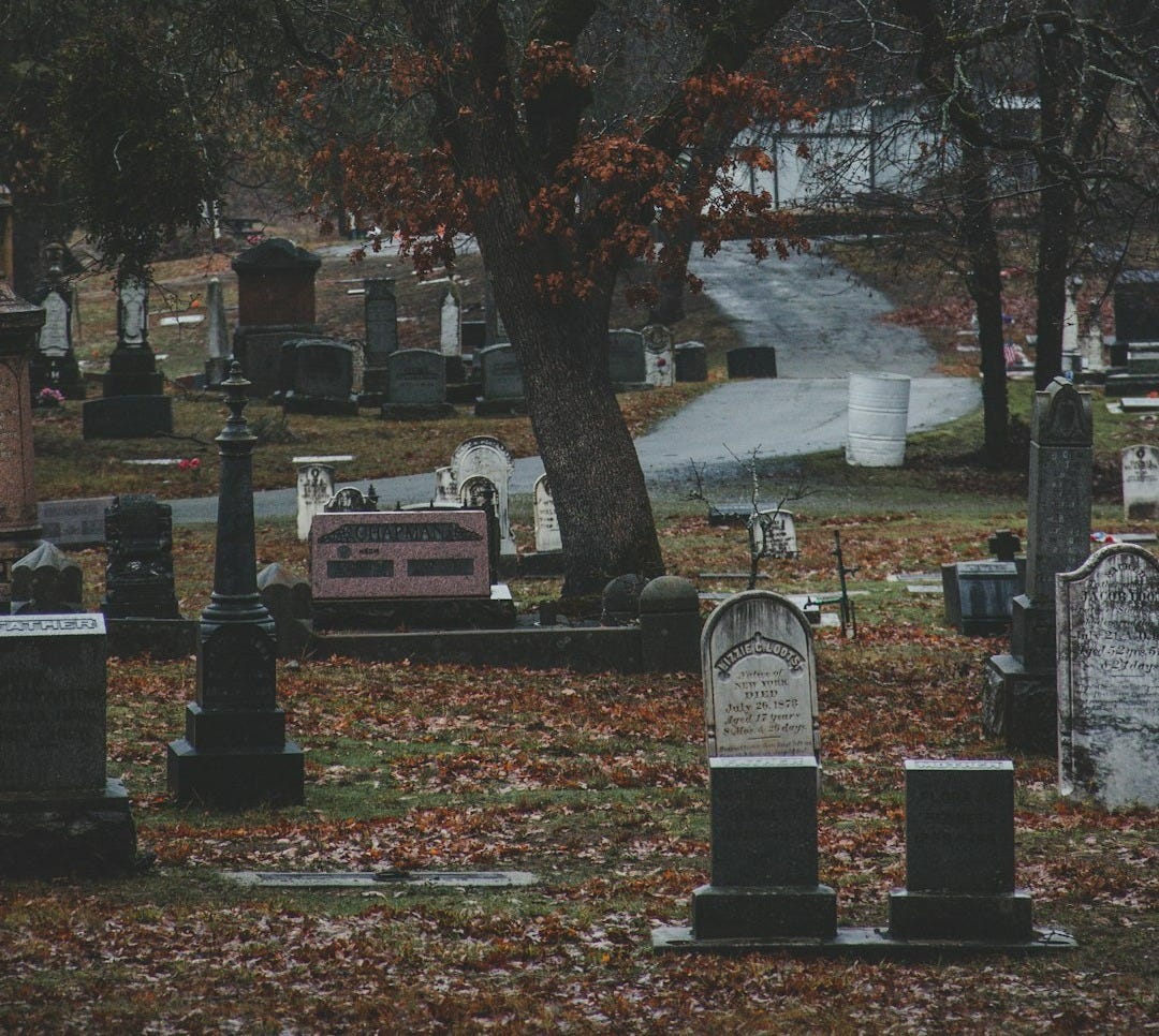 graveyard near tree