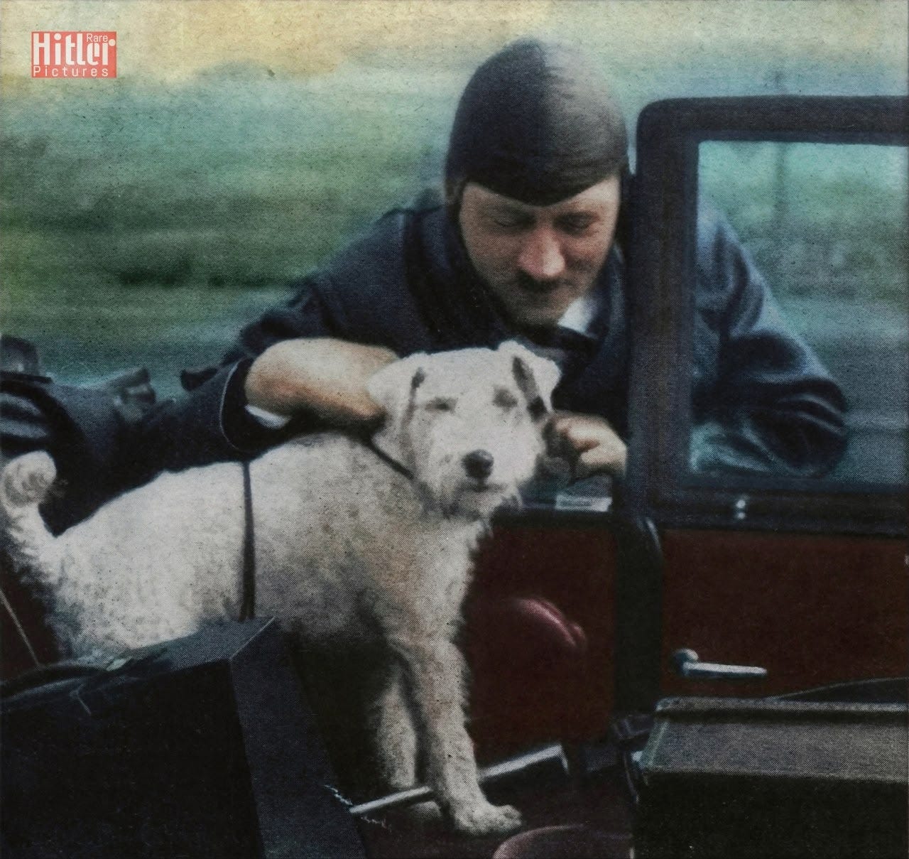 100 Days of Adolf Hitler Appreciation