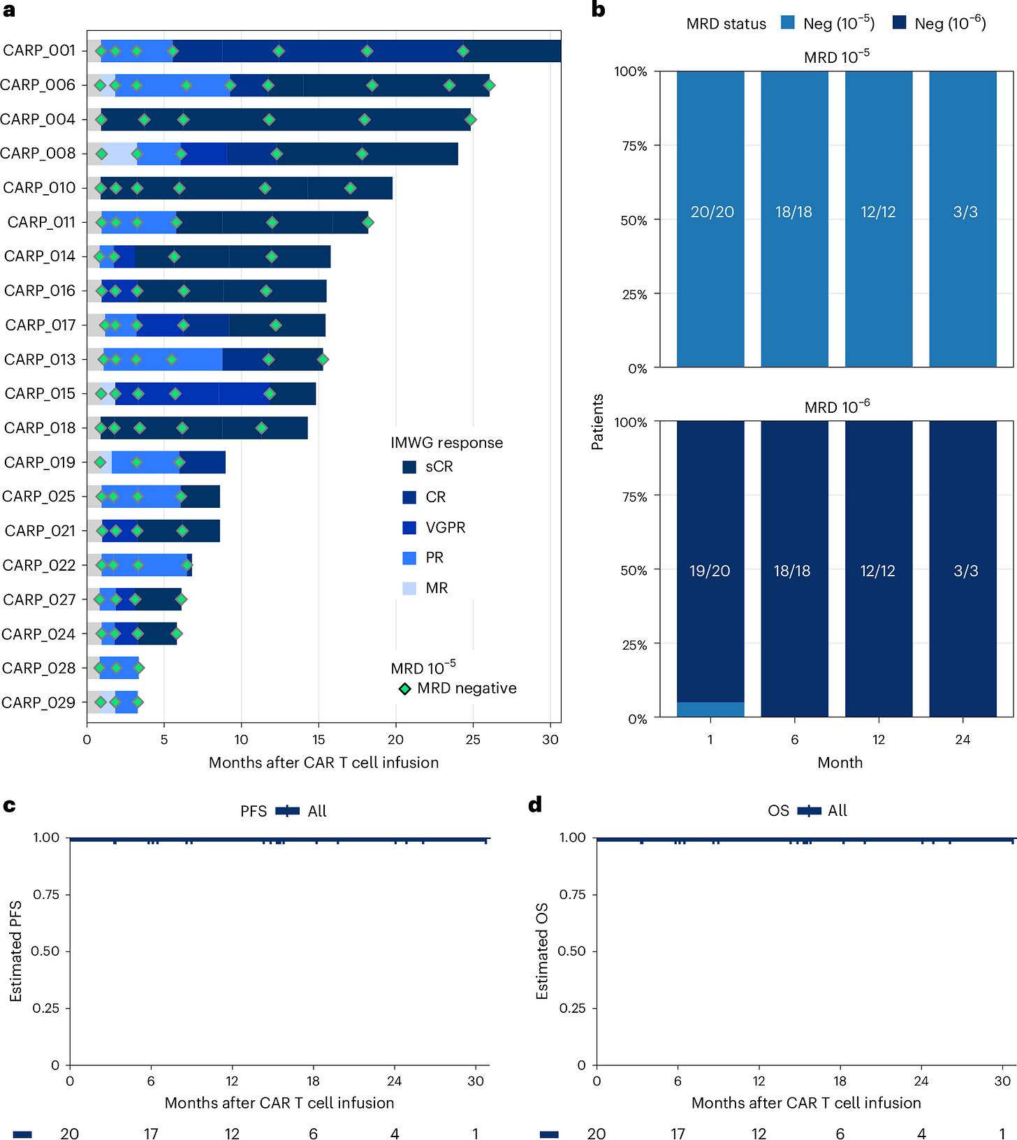 Fig. 2: Cilta-cel induces deep remissions in HR-SMM.