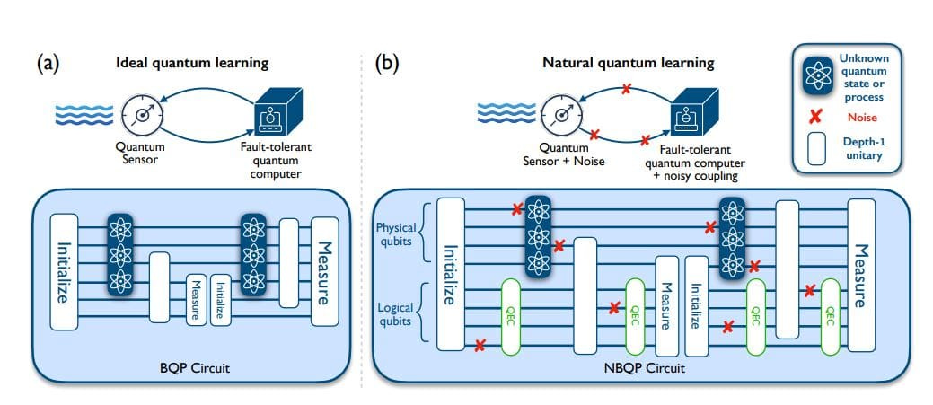Noisy Quantum Learning Theory Demonstrates Superpolynomial Gap Between NISQ and Fault-Tolerant Devices