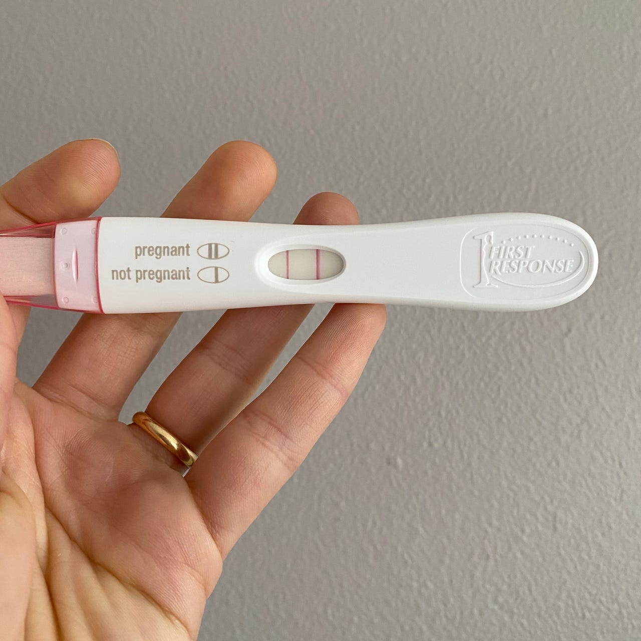 Substack profile picture for @pregnant