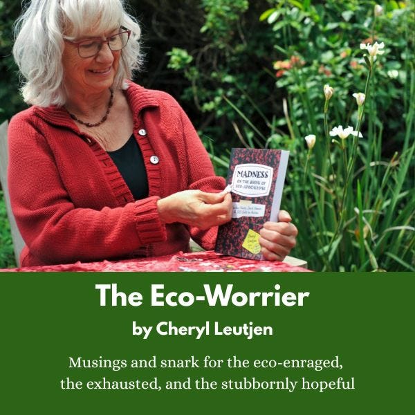 The Eco-Worrier logo