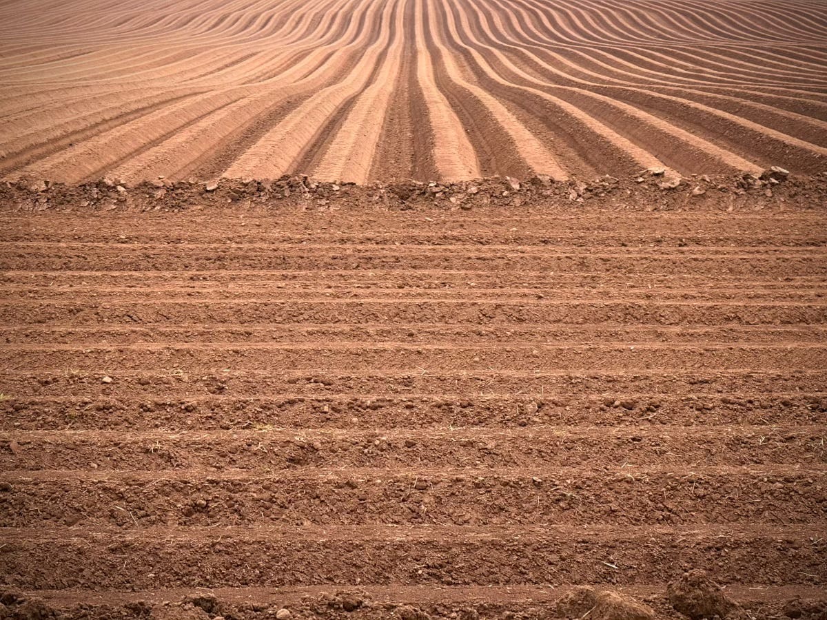 An abstract photo featuring a ploughed field.