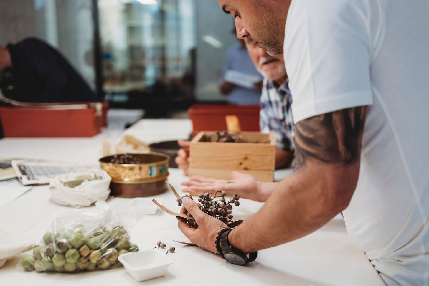 Article content Article content