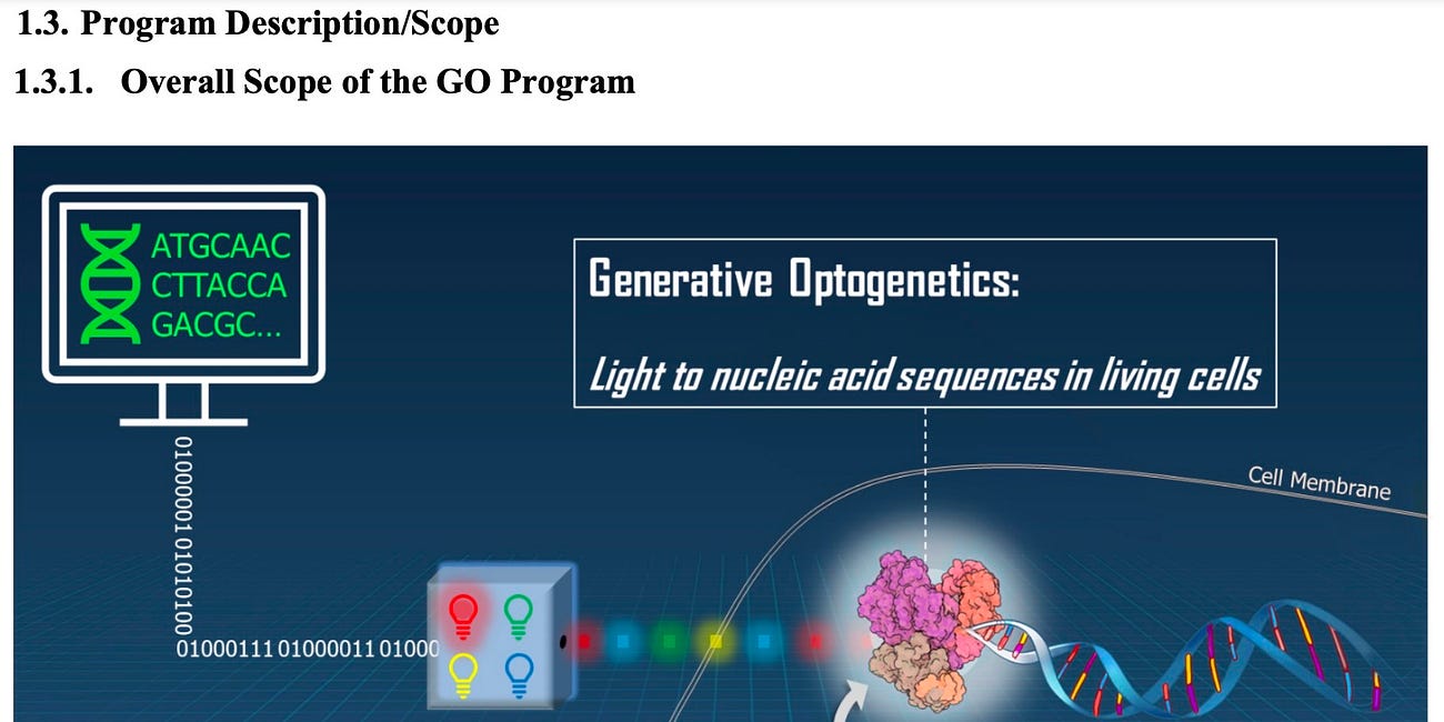 Generative Optogenetics: brought to you by DARPA!