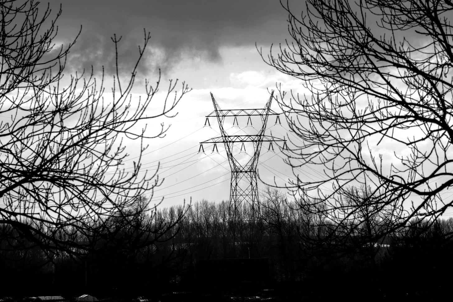 A transmission tower stands ominously against a bleak clouded sky. In the foreground, bare branches hint at the bounty the land once held.
