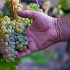 Wine Chronicles 2025: Dan Berger’s Year of Reckoning and Recalibration