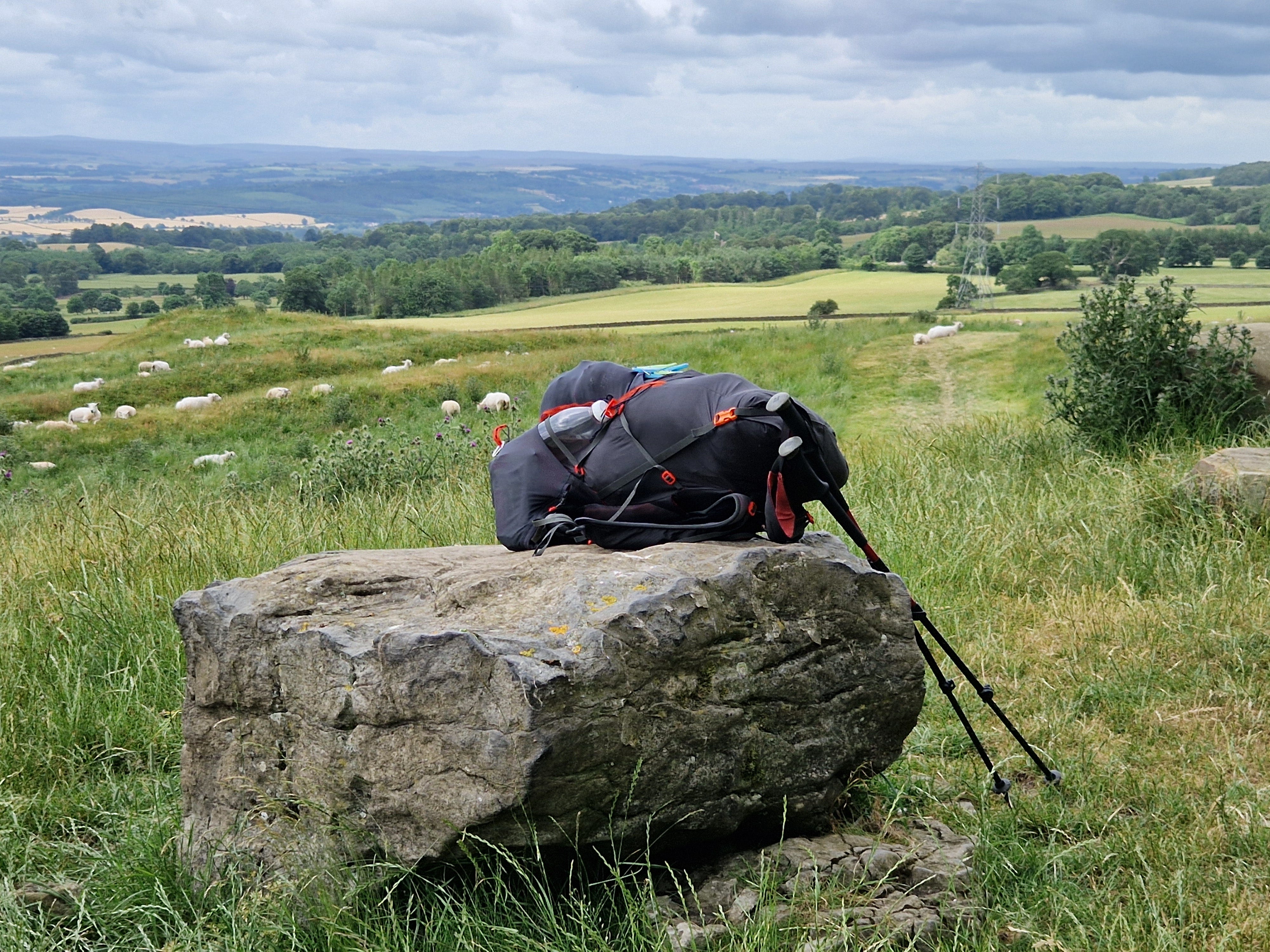 Newcastle to Hawick Walk #2