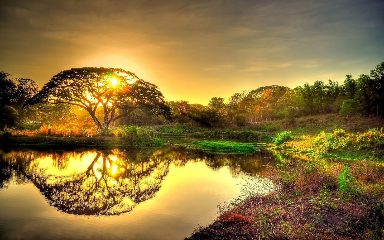 Beautiful Sunrise 4K wallpaper