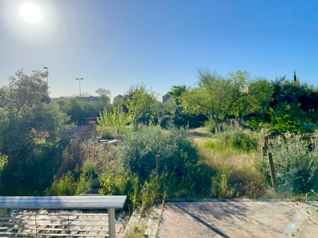 Parque Andalucía de los Niños, 2025