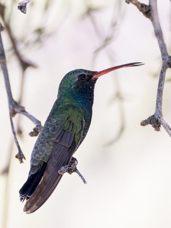 20241009-MBY-44-Edit.jpg Oct 6.jpg 20241009-MBY-44-Edit.jpg Oct 6.jpg