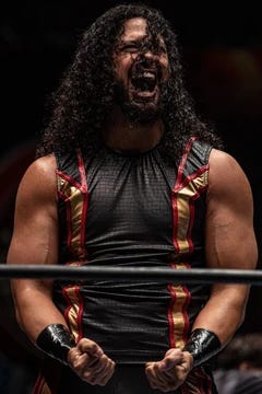 https://cdn.discordapp.com/attachments/737910430122377237/1134975772705169458/Hikuleo2.webp