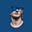 Avatar de Fran Elector