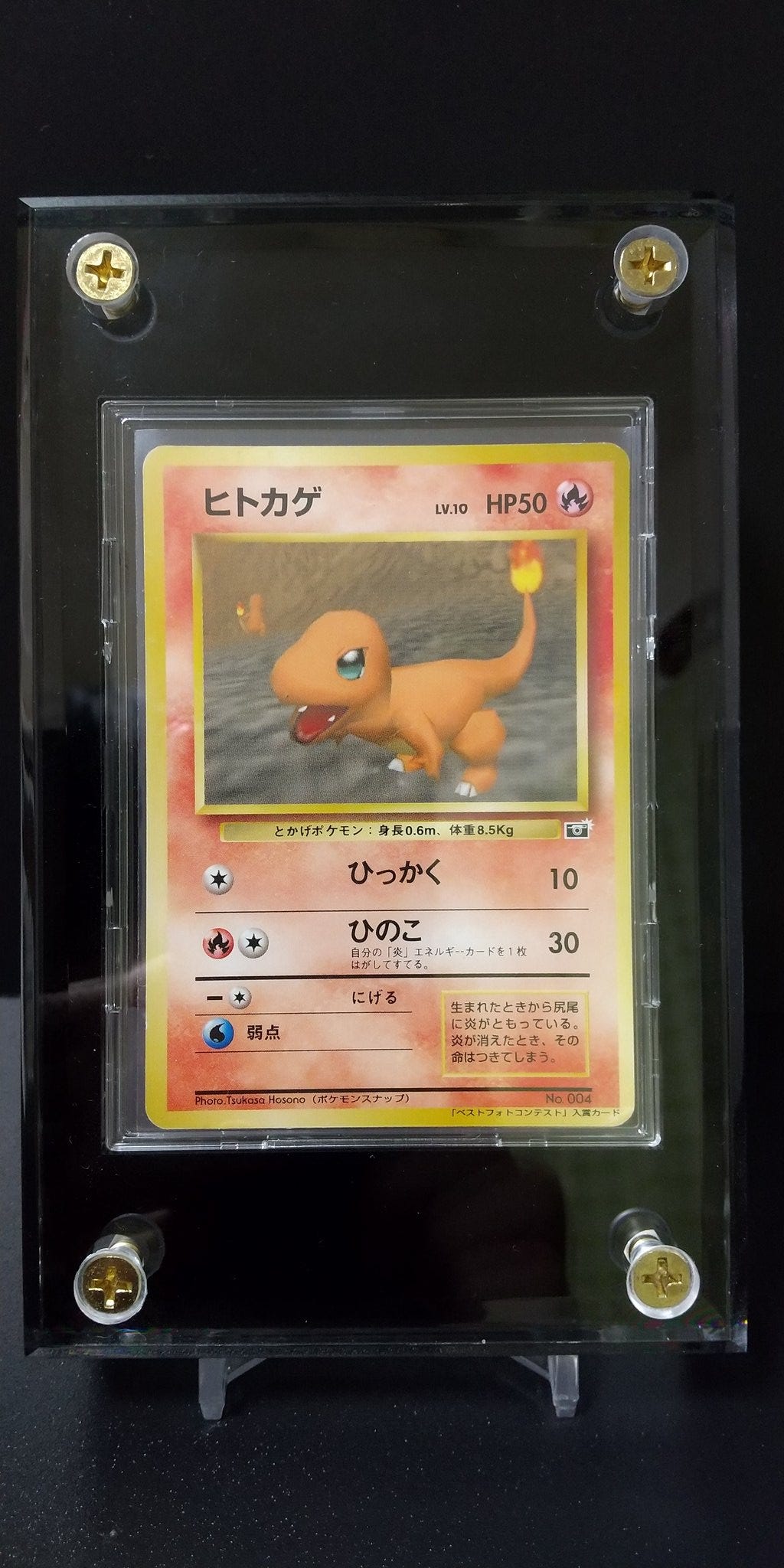 A photograph of Tsukasa's Charmander, inside of an acrylic frame