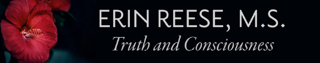 Truth and Consciousness with Erin Reese