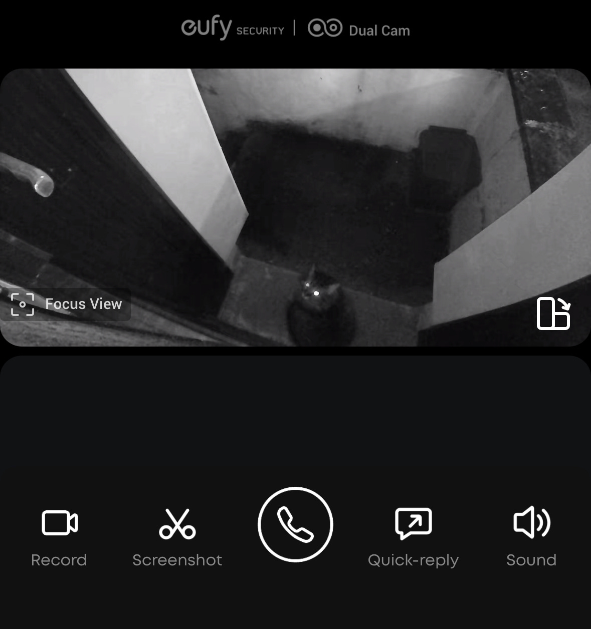 Doorbell camera picture of the cat that isn't mine waiting to be let into my place.