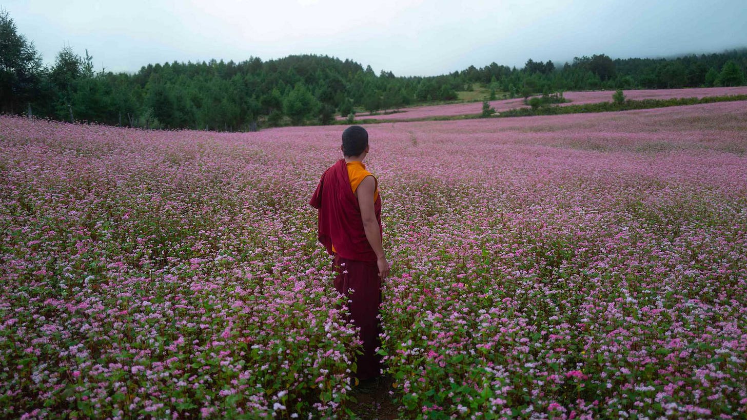 Still from the 2023 Bhutan film The Monk and the Gun.