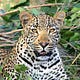 African Tours Magazine 