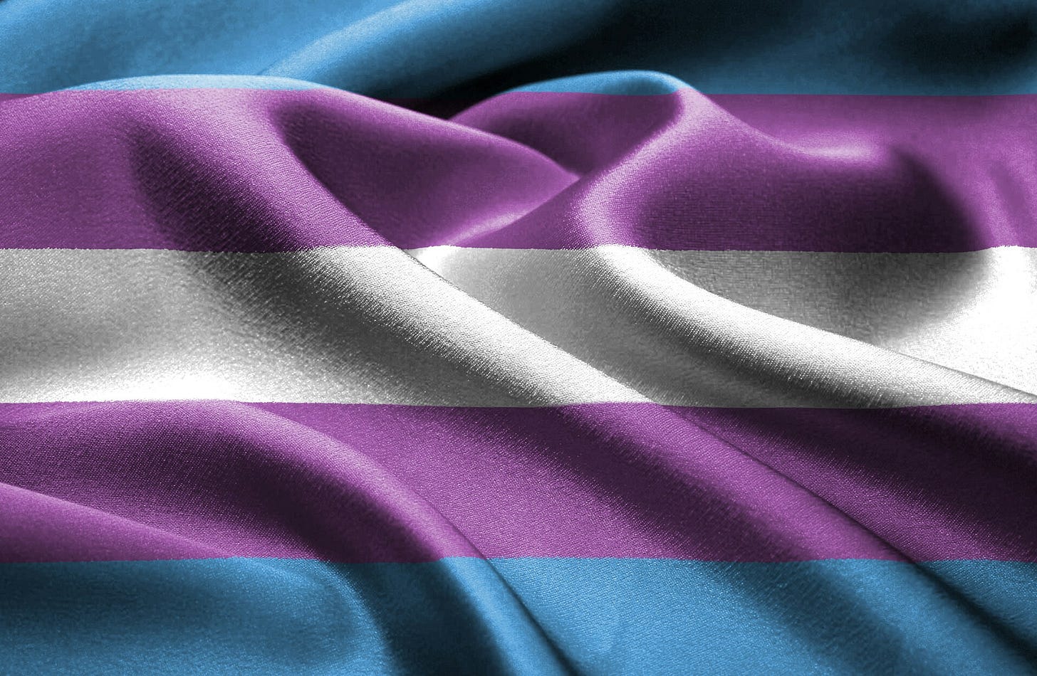 Portion of transgender flag with blue, purple and white stripes Portion of transgender flag with blue, purple and white stripes