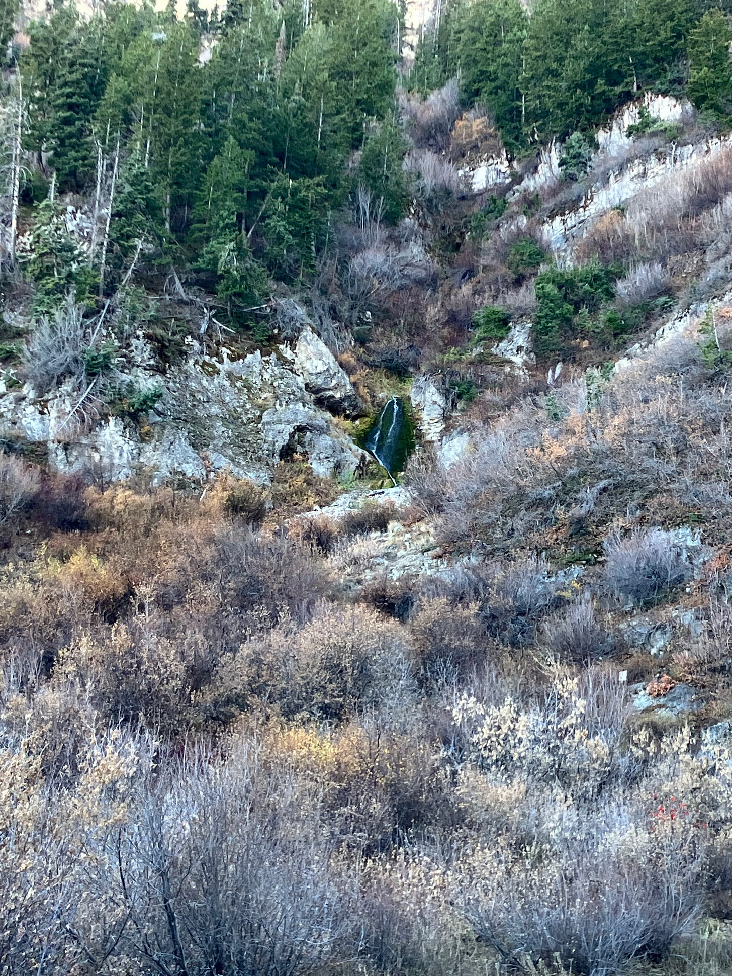 photo of mountain slope covered in pines and rock with a faraway glimpse of trickling waterfall