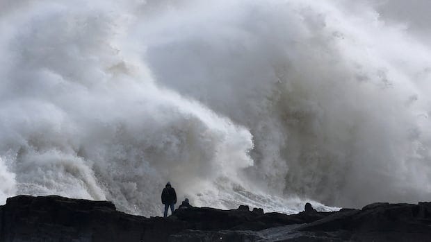 Man killed as Storm Éowyn batters Ireland with record winds, knocking out  power | CBC News
