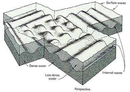 Internal waves at interface between two layers of water of different densities. One is dense (the lower one), the other one is less dense (the upper one). (Oceanography, Gross, p. 204.) Internal waves at interface between two layers of water of different densities. One is dense (the lower one), the other one is less dense (the upper one). (Oceanography, Gross, p. 204.)
