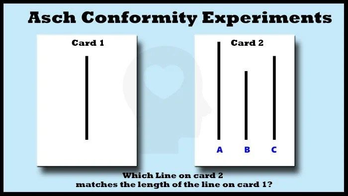 Asch-Conformity-Experiments.-Line-Cards.-Psychology-Fanatic-article-body-image Asch-Conformity-Experiments.-Line-Cards.-Psychology-Fanatic-article-body-image