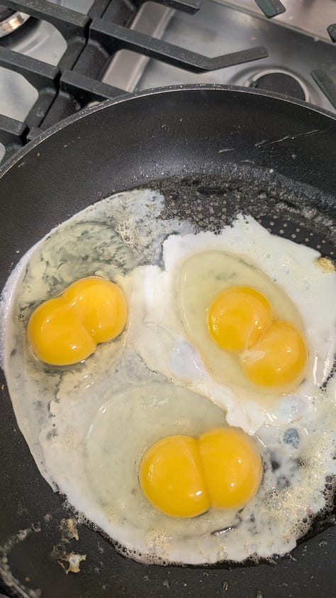 Double yolked eggs