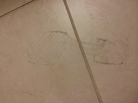 The bathroom floor had a line of five dirty shoe prints. - Picture of  Courtyard by Marriott Glassboro Rowan University - Tripadvisor