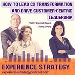The Experience Strategist