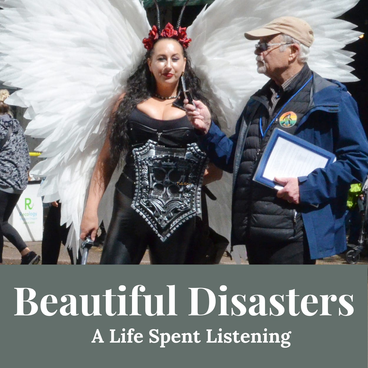 Beautiful Disasters