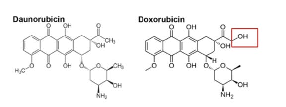 Doxorubicin vs Daunorubicin