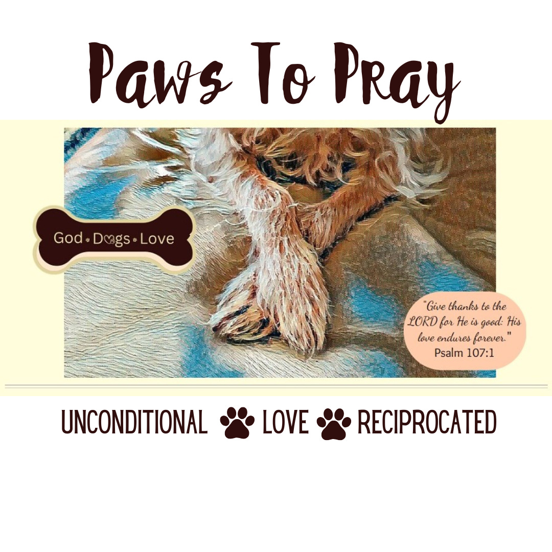 Paws To Pray with Peggianne