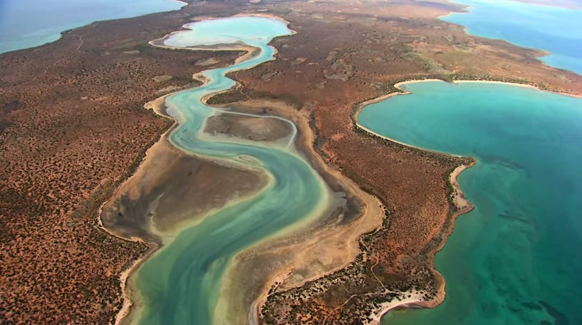 www.culturamarinara.com-yann-arthus-bertrand-planet-ocean1 www.culturamarinara.com-yann-arthus-bertrand-planet-ocean1