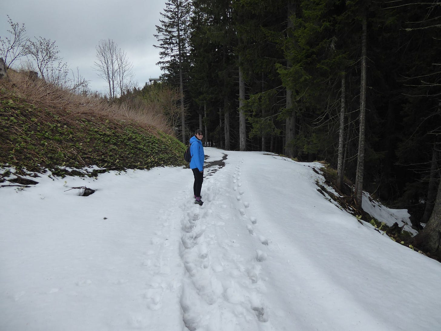 Kranjska Gora & The Julian Alps