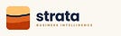 Strata Business Intelligence