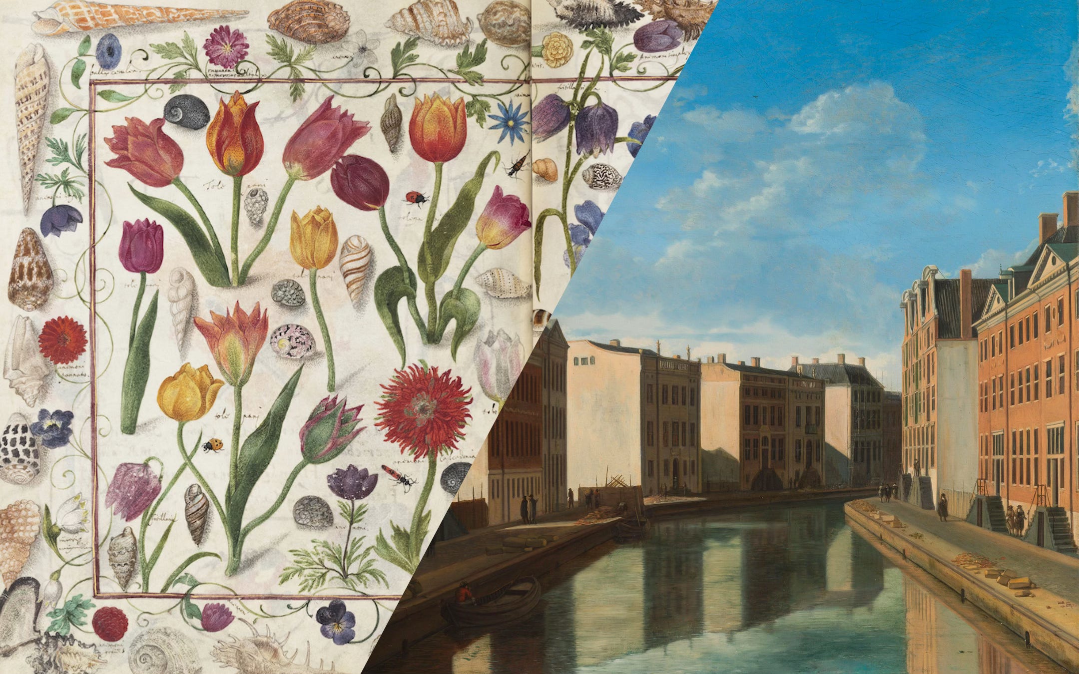 Image depicts paintings of flowers, seashells and a canal with brick buildings Image depicts paintings of flowers, seashells and a canal with brick buildings