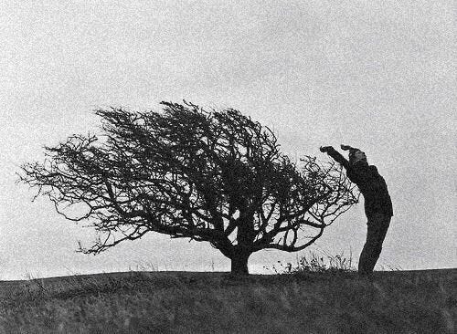 This may contain: a man standing next to a tree on top of a hill
