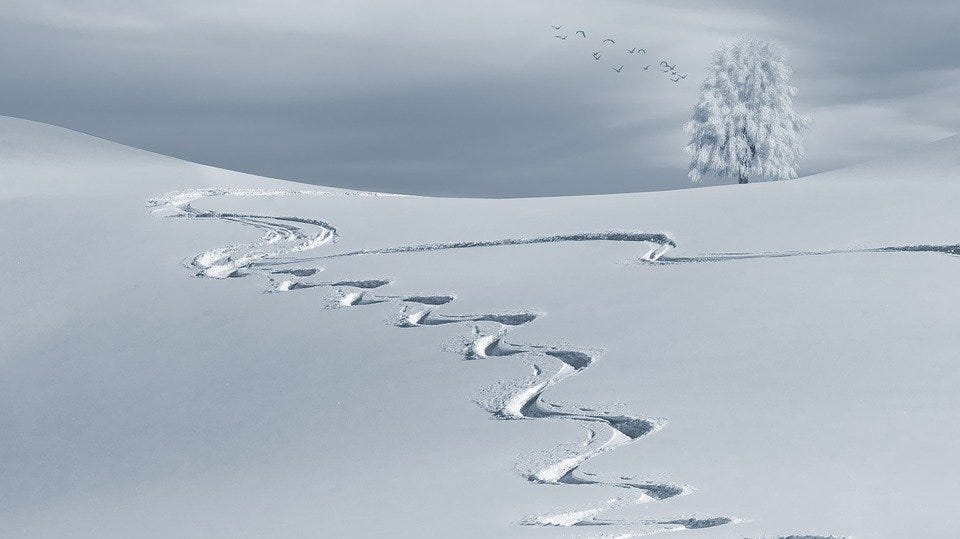 Free photos of Wintry