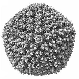 Adenoviral Vector Redux