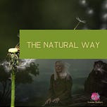 The Magic Weaver