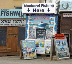 absence of mackerel